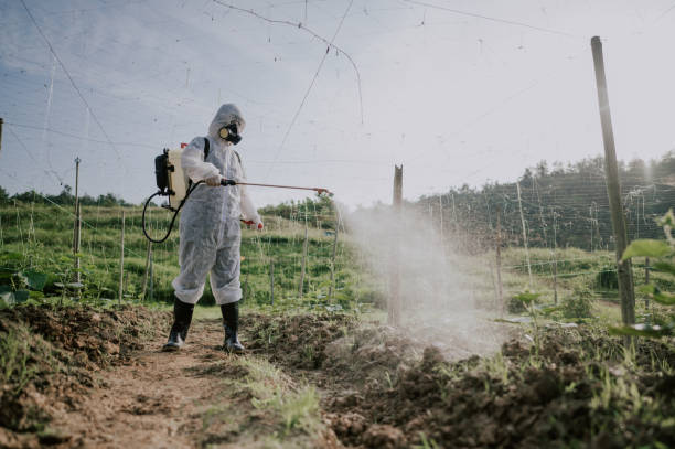 Best Pest Control Treatment  in Forest Meadows, CA