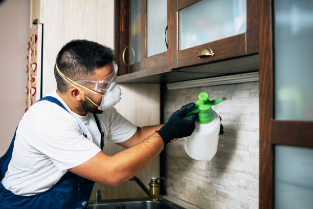 Best Pest Control Near Me  in Forest Meadows, CA