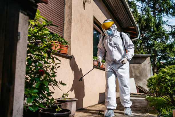 Best Ant Control Services  in Forest Meadows, CA