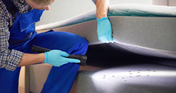 Best Pest Inspection Near Me  in Forest Meadows, CA
